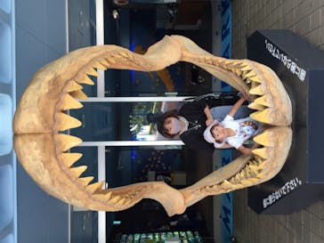 京急油壺マリンパークに投稿された画像（2021/6/18）