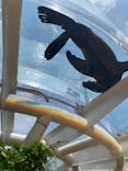 サンシャイン水族館に投稿された画像（2021/6/18）