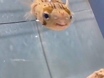 サンシャイン水族館に投稿された画像（2021/6/18）