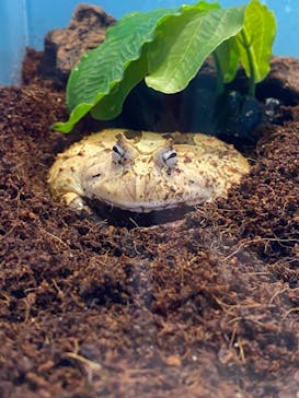 サンシャイン水族館に投稿された画像（2021/6/18）