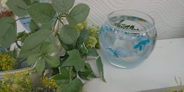 ずこうしつ〜sugamo〜に投稿された画像（2021/6/18）