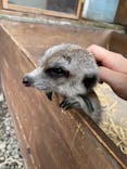 しろとり動物園に投稿された画像（2021/6/18）