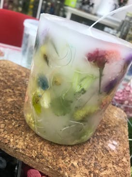 ずこうしつ〜sugamo〜に投稿された画像（2021/6/18）