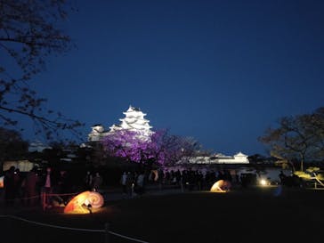 姫路城（イベント）に投稿された画像（2021/4/5）