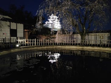 姫路城（イベント）に投稿された画像（2021/4/5）