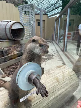 横浜・八景島シーパラダイスに投稿された画像（2021/6/18）