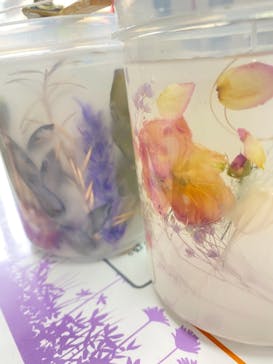 ずこうしつ〜sugamo〜に投稿された画像（2021/6/19）