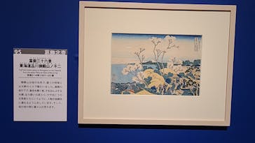 特別展「冨嶽三十六景への挑戦 北斎と広重」東京都江戸東京博物館に投稿された画像（2021/6/19）