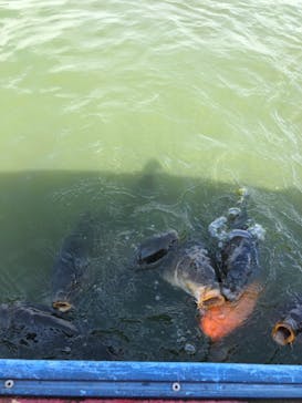 東武動物公園に投稿された画像（2021/6/19）