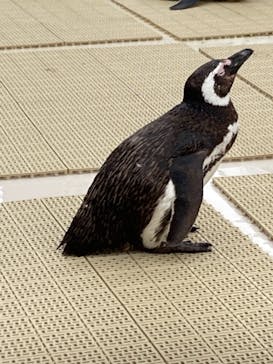 株式会社Gに投稿された画像（2021/6/19）