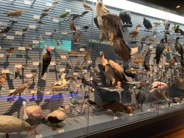 国立科学博物館に投稿された画像（2021/6/19）