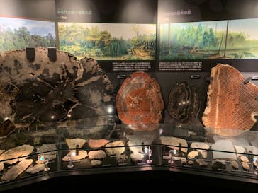 国立科学博物館に投稿された画像（2021/6/19）