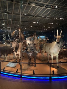 国立科学博物館に投稿された画像（2021/6/19）