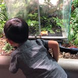 カワスイ 川崎⽔族館に投稿された画像（2021/6/19）