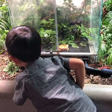 カワスイ 川崎⽔族館に投稿された画像（2021/6/19）