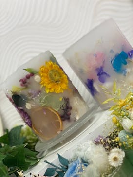 ずこうしつ〜sugamo〜に投稿された画像（2021/6/19）