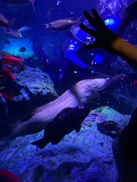すみだ水族館に投稿された画像（2021/6/19）