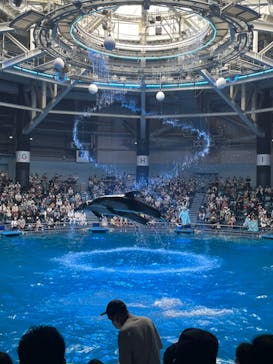 マクセル アクアパーク品川に投稿された画像（2021/6/19）