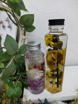 ずこうしつ〜sugamo〜に投稿された画像（2021/6/19）