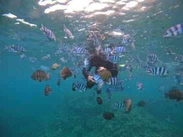 MalDive（モルダイブ）に投稿された画像（2021/6/19）