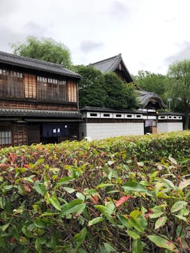 江戸東京たてもの園に投稿された画像（2021/6/19）