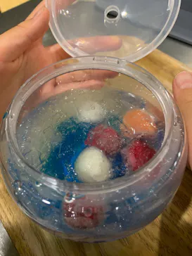 すみだ水族館に投稿された画像（2021/6/19）