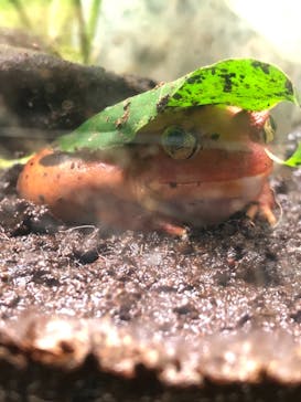 サンシャイン水族館に投稿された画像（2021/6/19）