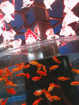 すみだ水族館に投稿された画像（2021/6/19）