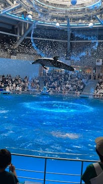 マクセル アクアパーク品川に投稿された画像（2021/6/19）