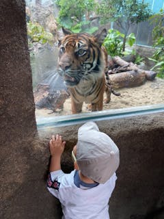 神戸どうぶつ王国 口コミ一覧 アソビュー