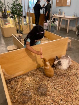 Moff アニマル カフェ イーアス 高尾店に投稿された画像（2021/6/19）