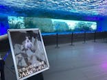 サンシャイン水族館に投稿された画像（2021/6/19）