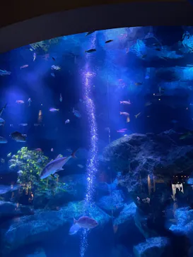 すみだ水族館に投稿された画像（2021/6/19）