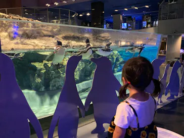 すみだ水族館に投稿された画像（2021/6/20）