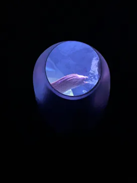 すみだ水族館に投稿された画像（2021/6/20）