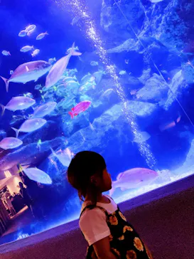 すみだ水族館に投稿された画像（2021/6/20）