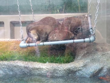 サンシャイン水族館に投稿された画像（2021/6/20）