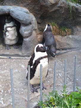 サンシャイン水族館に投稿された画像（2021/6/20）