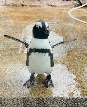京都水族館に投稿された画像（2021/6/20）