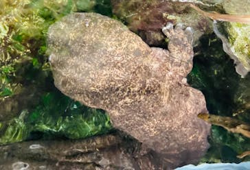 京都水族館に投稿された画像（2021/6/20）