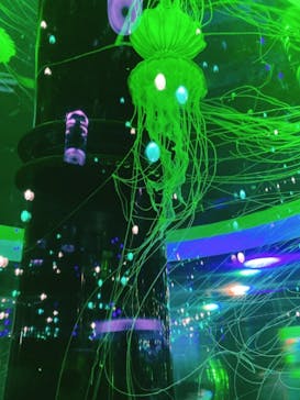 マクセル アクアパーク品川に投稿された画像（2021/6/20）