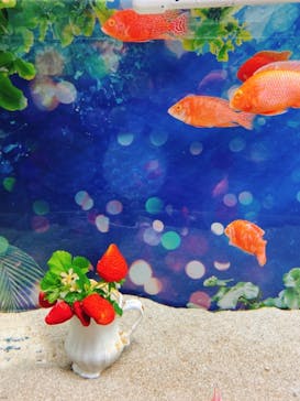 マクセル アクアパーク品川に投稿された画像（2021/6/20）