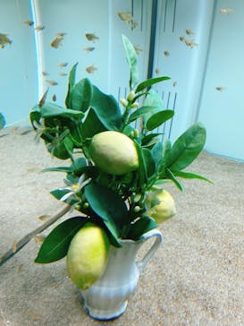 マクセル アクアパーク品川に投稿された画像（2021/6/20）