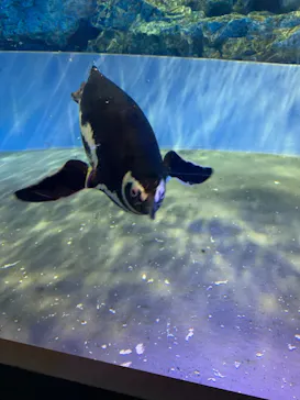 すみだ水族館に投稿された画像（2021/6/20）