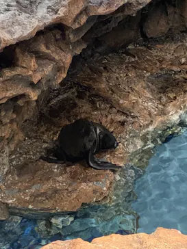 すみだ水族館に投稿された画像（2021/6/20）