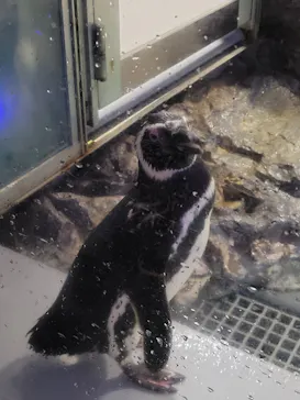 すみだ水族館に投稿された画像（2021/6/20）