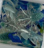 ずこうしつ〜sugamo〜に投稿された画像（2021/6/20）