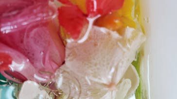 ずこうしつ〜sugamo〜に投稿された画像（2021/6/20）