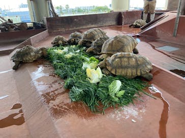 株式会社Gに投稿された画像（2021/6/20）