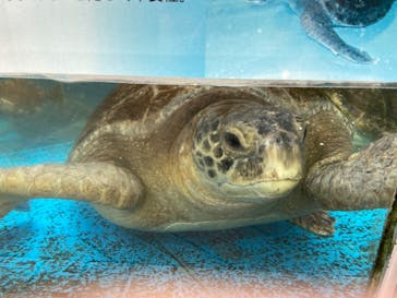 株式会社Gに投稿された画像（2021/6/20）